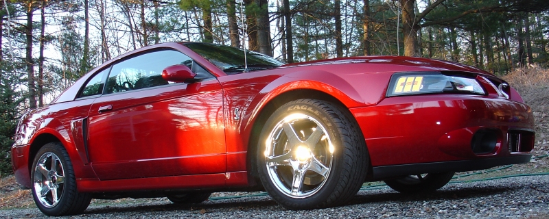 my my, what a looker!